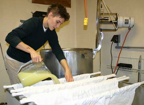 Whitney dips curd after the milk has been pastuerized