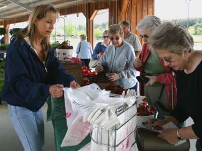 A trio of friends buys their weekly stock of berries and tomatoes.