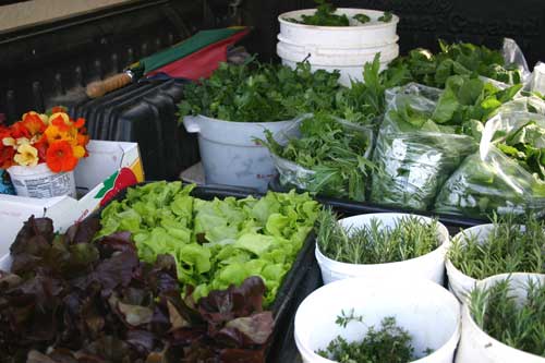 truck full of produce