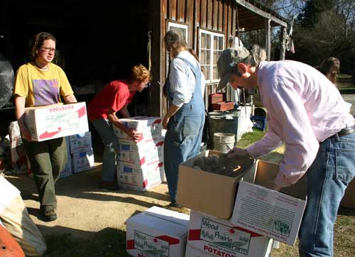 group sorting potatoes