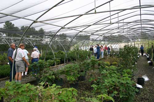 group tours shade house