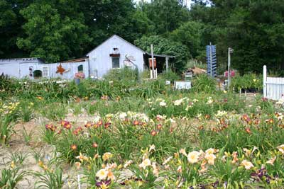 Holly Hill Farm