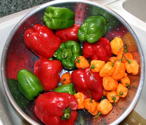 peppers in colander