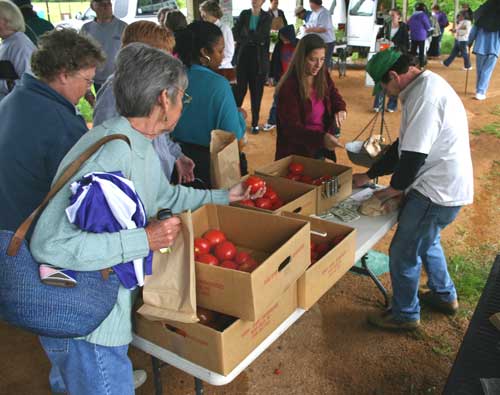 Lining up for Sunny Slope tomatoes at the Pittsboro Farmers' Market