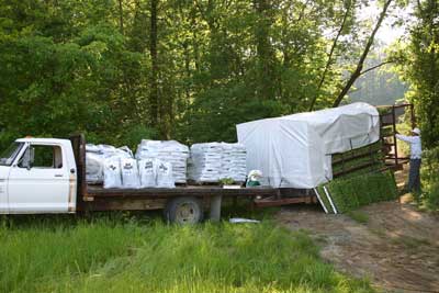 Tobacco-planting day: 