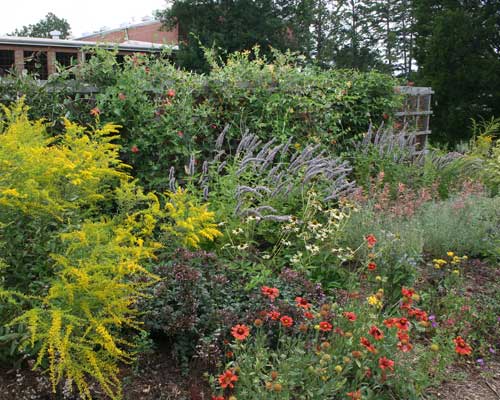 summer shot of trellis bed