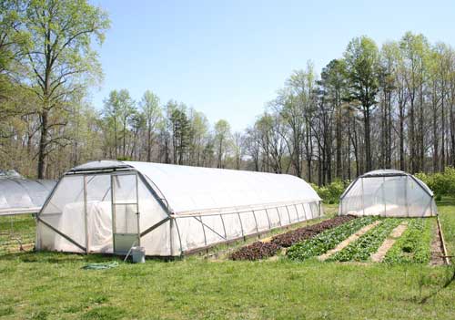 Sliding high tunnels at Peregrine Farm