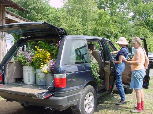 loading flowers for a wedding