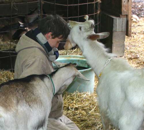 Buck grooms Whitney