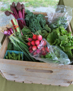 Spring CSA share from Dutch Buffalo Farm