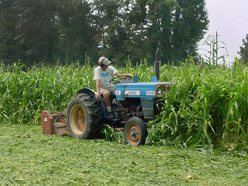 person on tractor