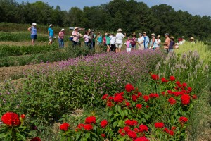 Cover photo for Photos From Cooperative Extension's Cut Flower Workshop