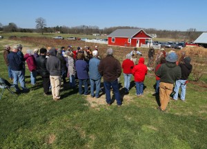 Cover photo for Blueberry Pruning & Production Resources