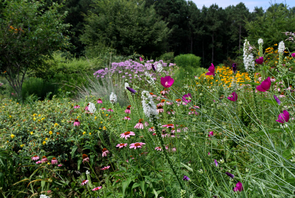 Pollinator Garden Tour Thursday July 7 | NC State Extension