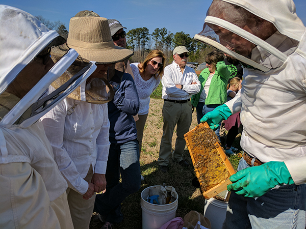 Beekeeping School