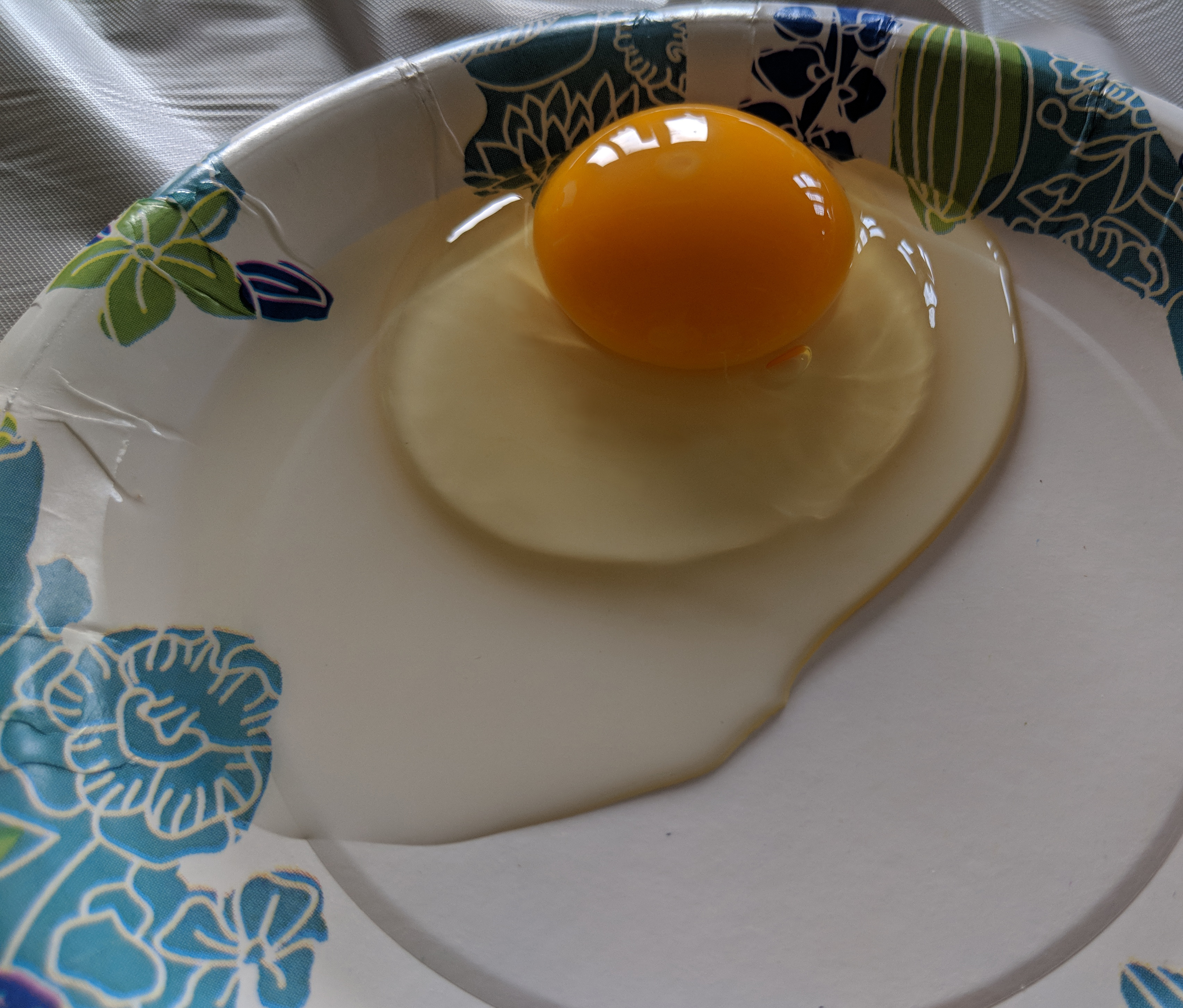 – This egg is Grade AA because the yolk is upright like a golf ball, the thick albumen is close around the yolk and you can see a defined margin between the thick and thin albumen which means this egg is less than two days old.