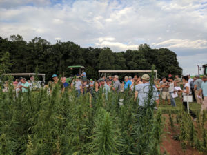 Industrial hemp field day.