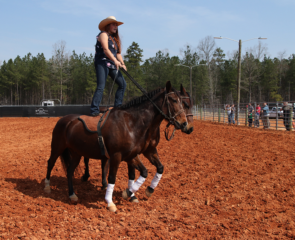 Willow Griffith demonstrated Roman Riding at the Livestock Arena.