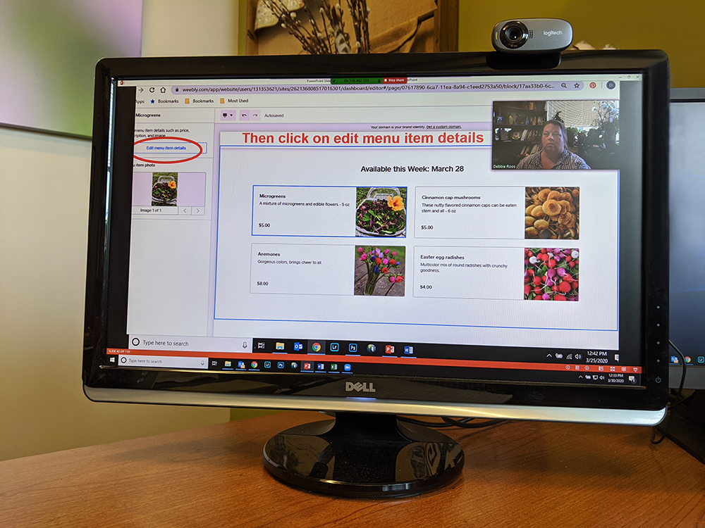 view of webinar on computer monitor