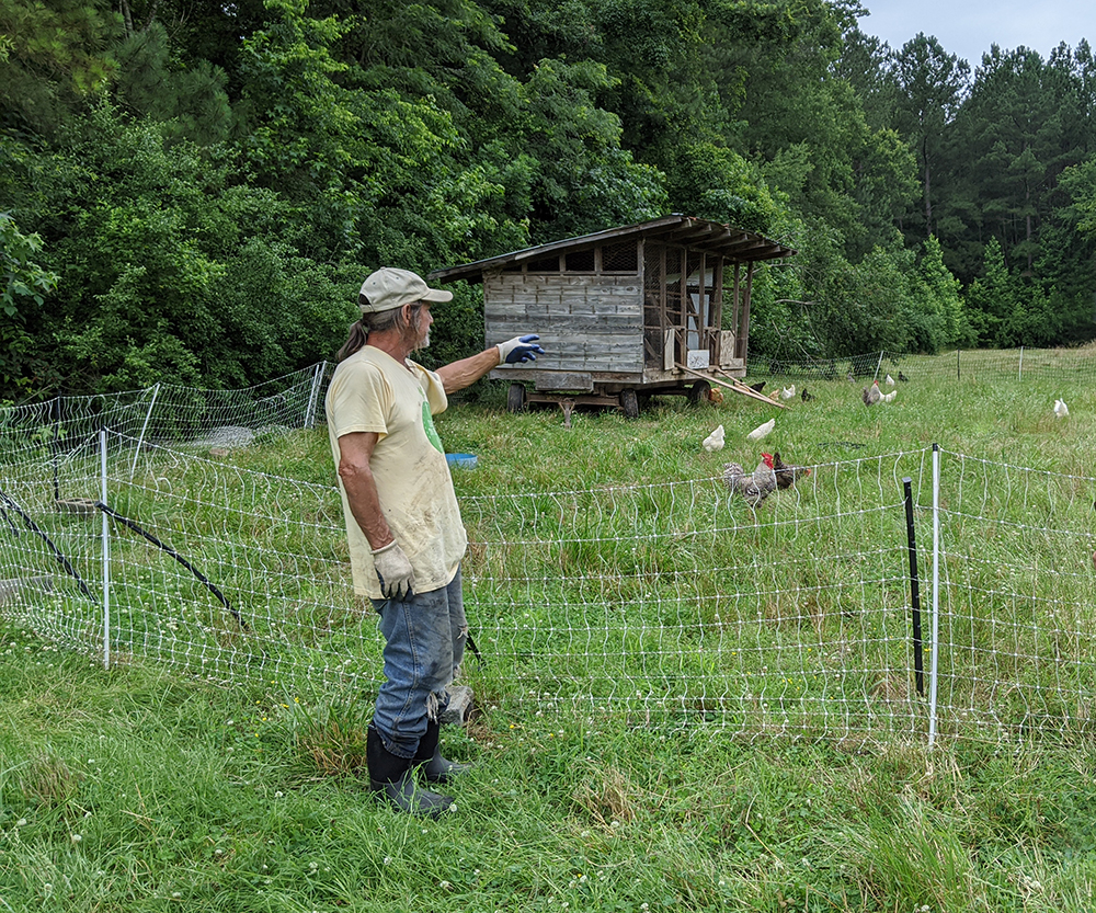Mike talks about some of the pastured hens