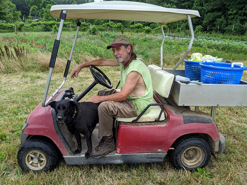 Man in golf cart