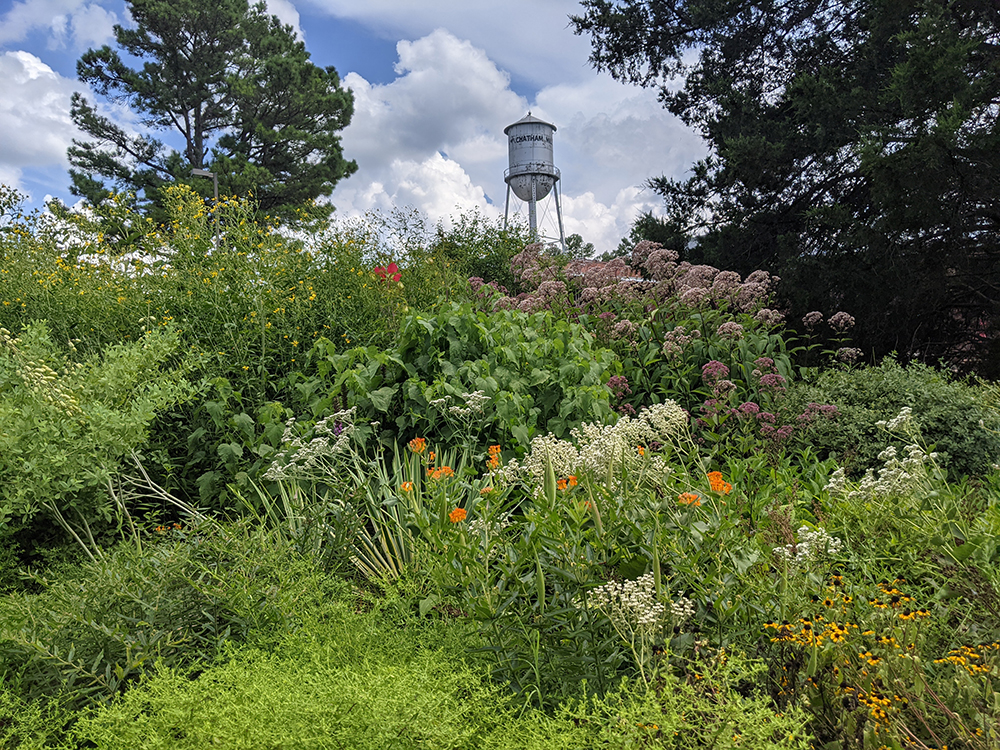 Pollinator garden with water tower in background