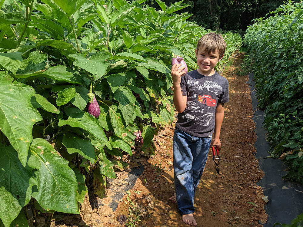 Boy holding eggplant