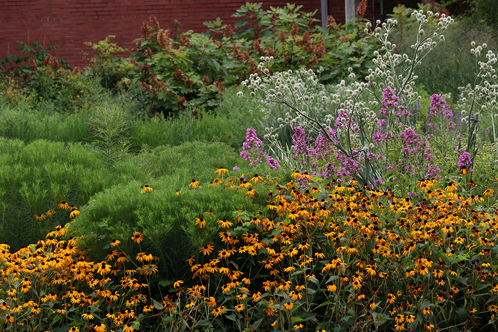 One of the garden beds in late June