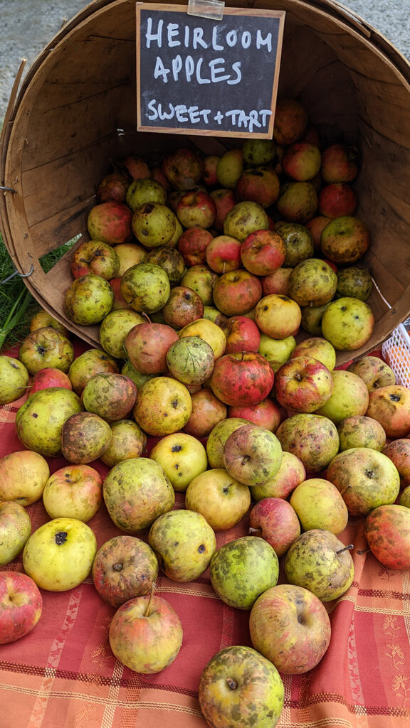Heirloom apples from In Good Heart Farm. 