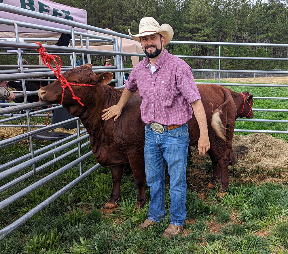 Joshua Bowman of Rockin' B Farm brought Santa Gertrudis heifers.