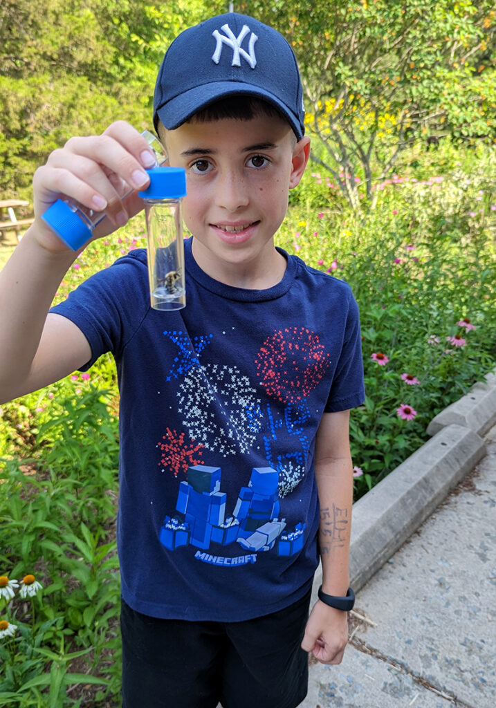 kid holding bumble bee in a vial
