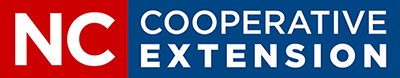 Extension logo