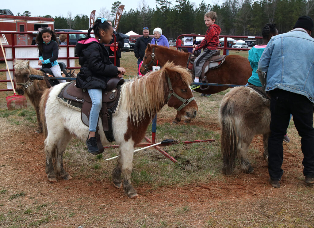 Pony rides at the Chatham County Ag Fest. 