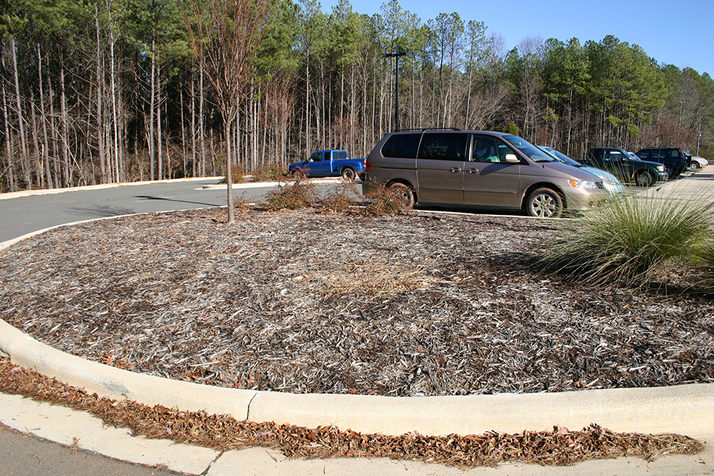 "Before" photo of one of the parking lot islands in 2008.