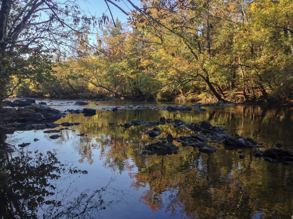 Lower Haw River State Natural Area. 