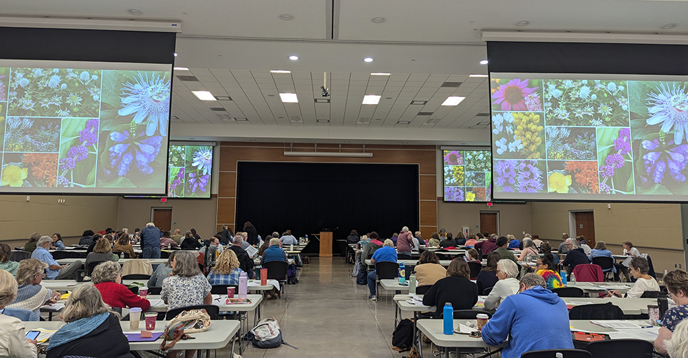 Workshop crowd.