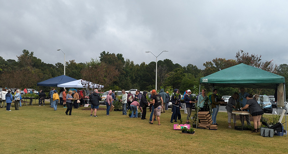 Customers line up for Rachel's Native Plants.