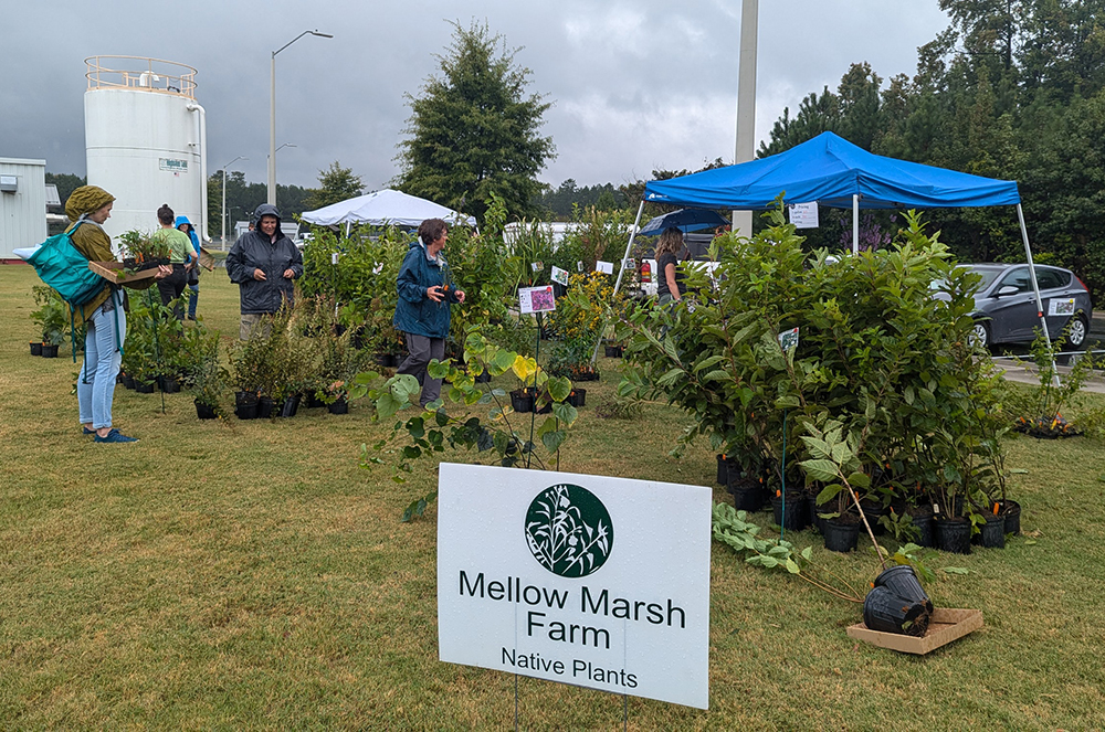 Mellow Marsh Farm.