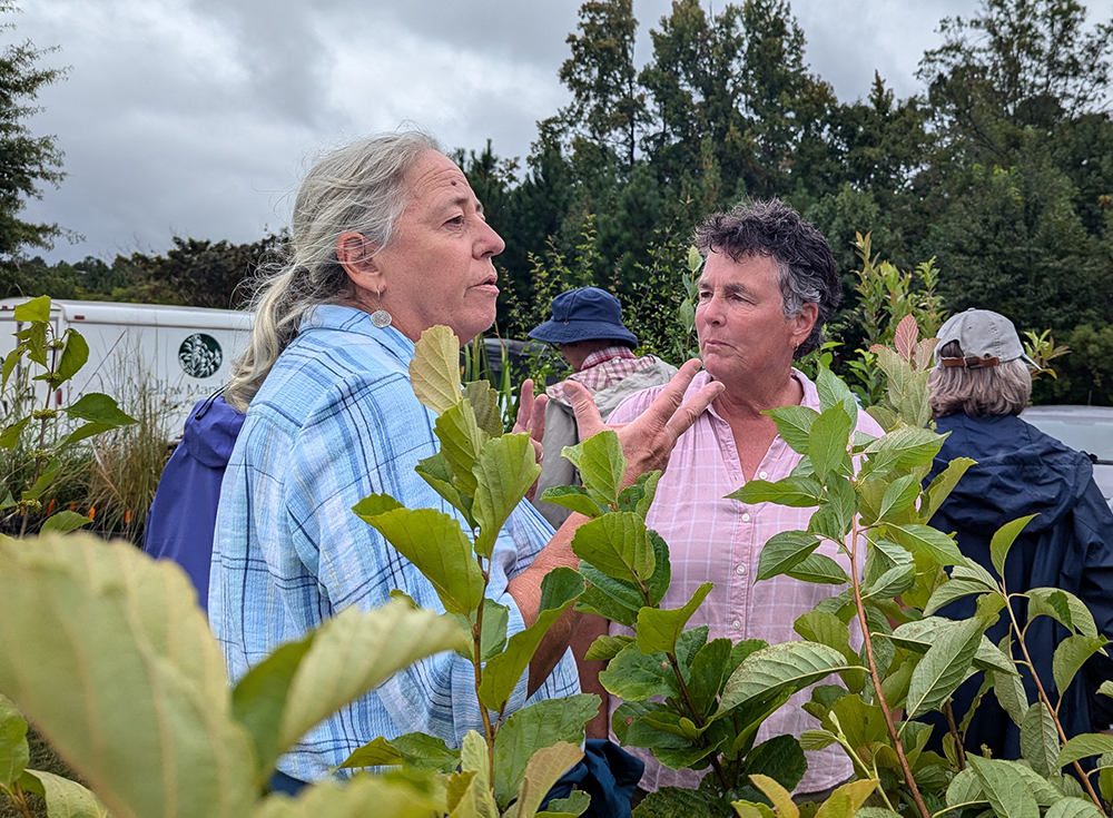 Grower Sharon Day (right) assists a customer at the Mellow Marsh Farm booth.