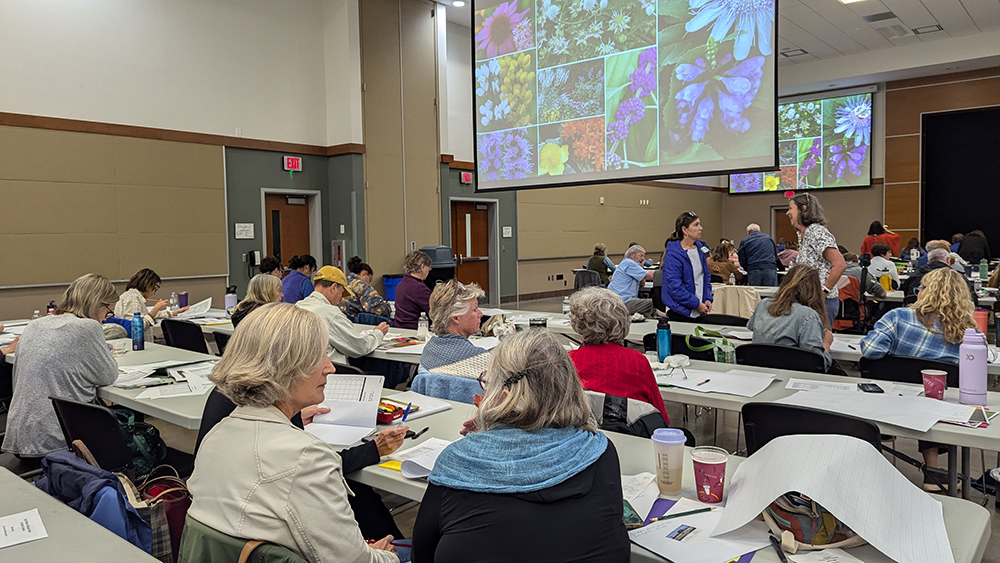 Participants were given time to practice designing their own pollinator garden bed.