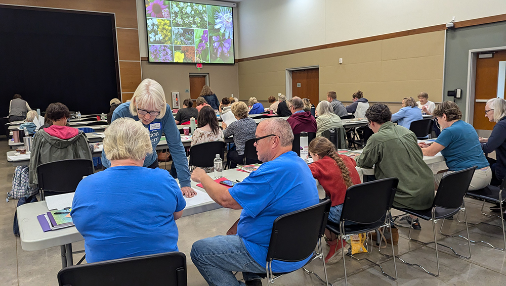 Participants were given time to practice designing their own pollinator garden bed.