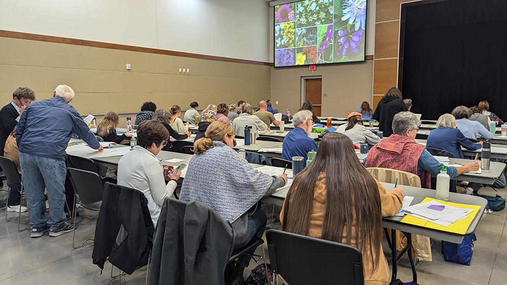 Participants were given time to practice designing their own pollinator garden bed.