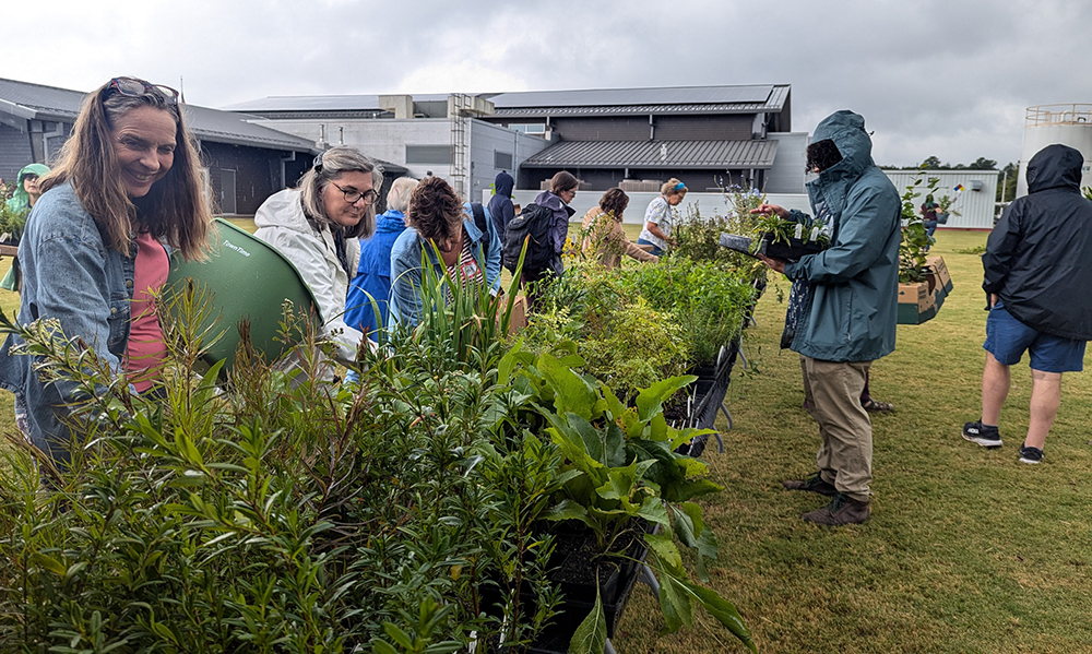 Checking out the plant selection at Dutch Buffalo Farm.