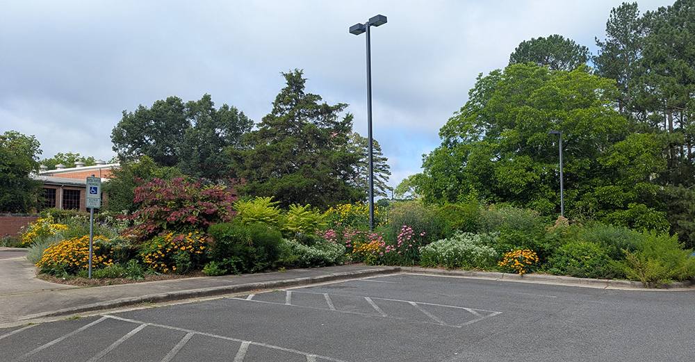 One of the many parking lot islands in the pollinator garden.