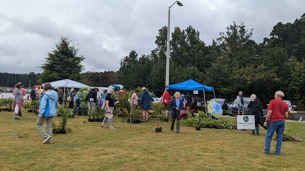 Scene from the 2024 Native Plant Sale.