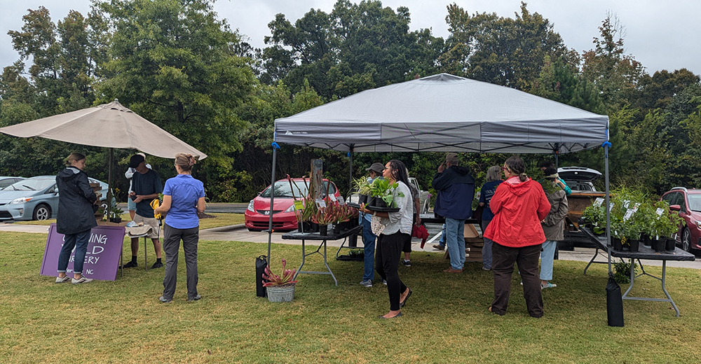Scene from the 2024 Native Plant Sale.